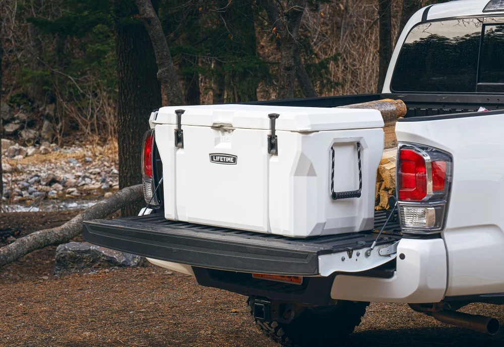 chest freezer cooler