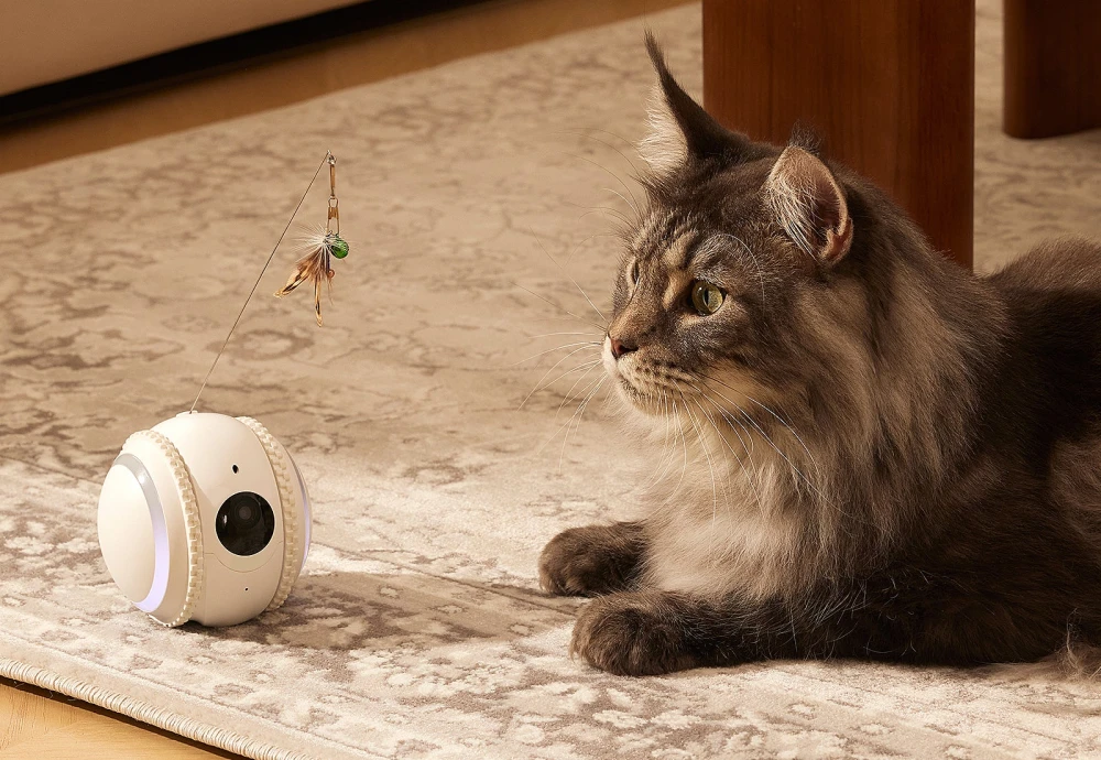 best pet indoor camera