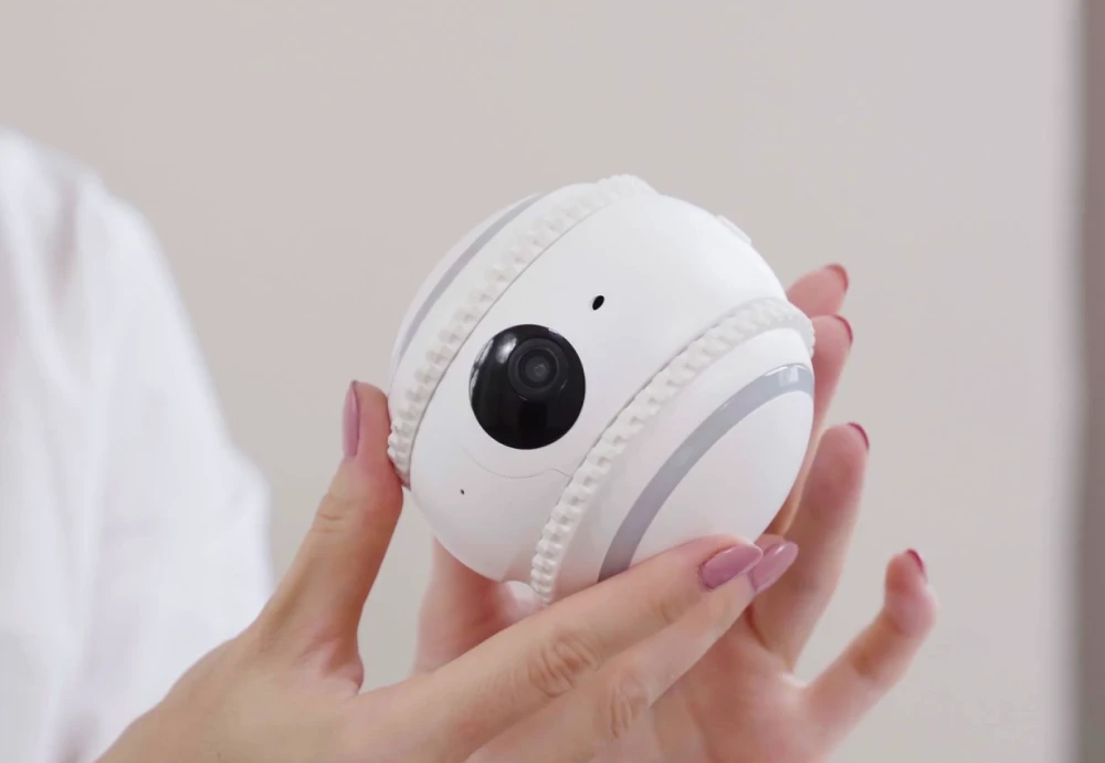 pet camera that moves