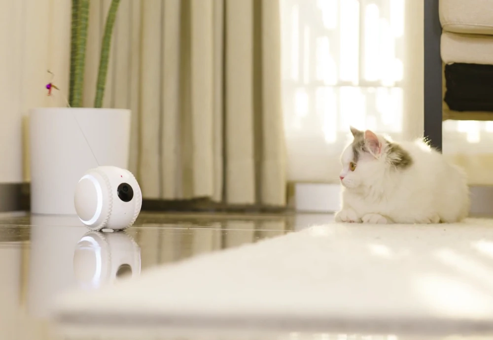 best in home pet camera