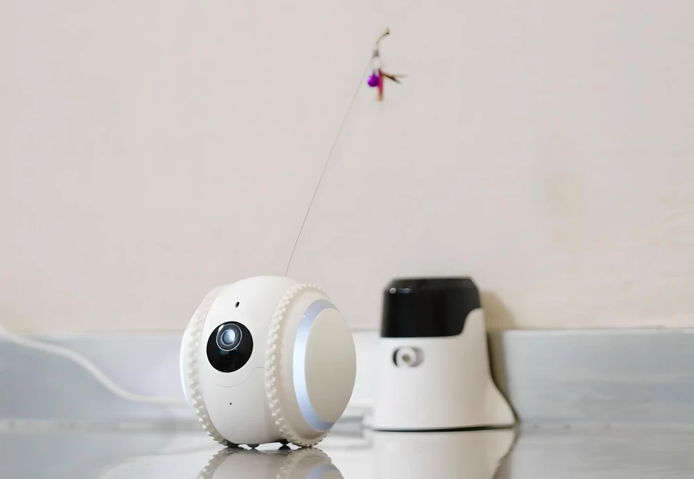 pet robot camera