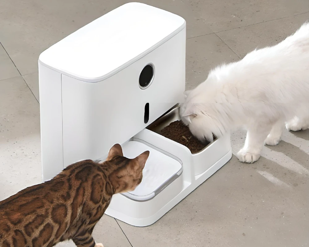 automatic pet feeding system