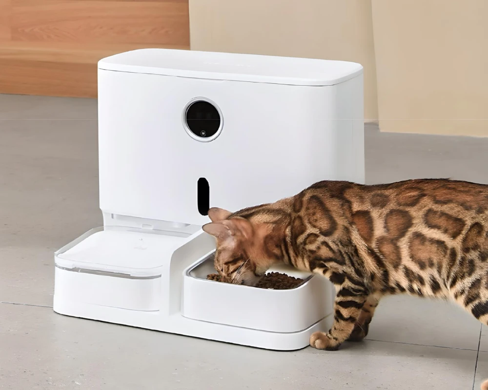 automatic pet feeder for multiple cats