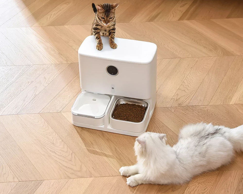 automatic food feeder for dogs