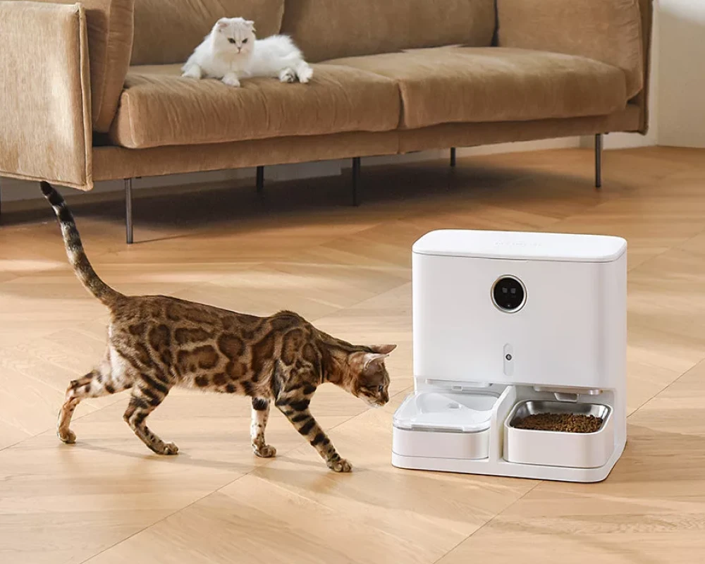 programmable automatic pet feeder