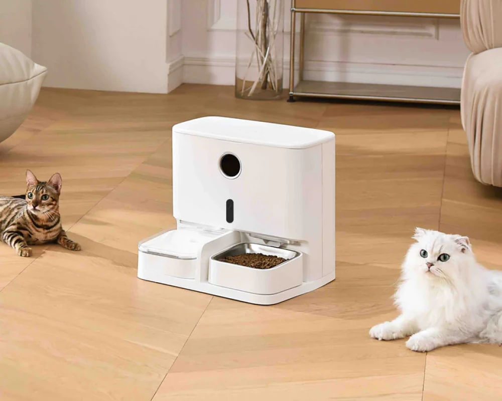 automatic food feeder for dogs