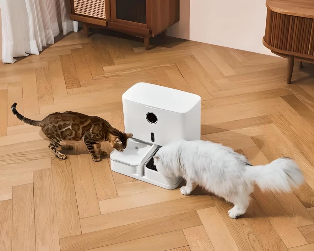 automatic food feeder for dogs