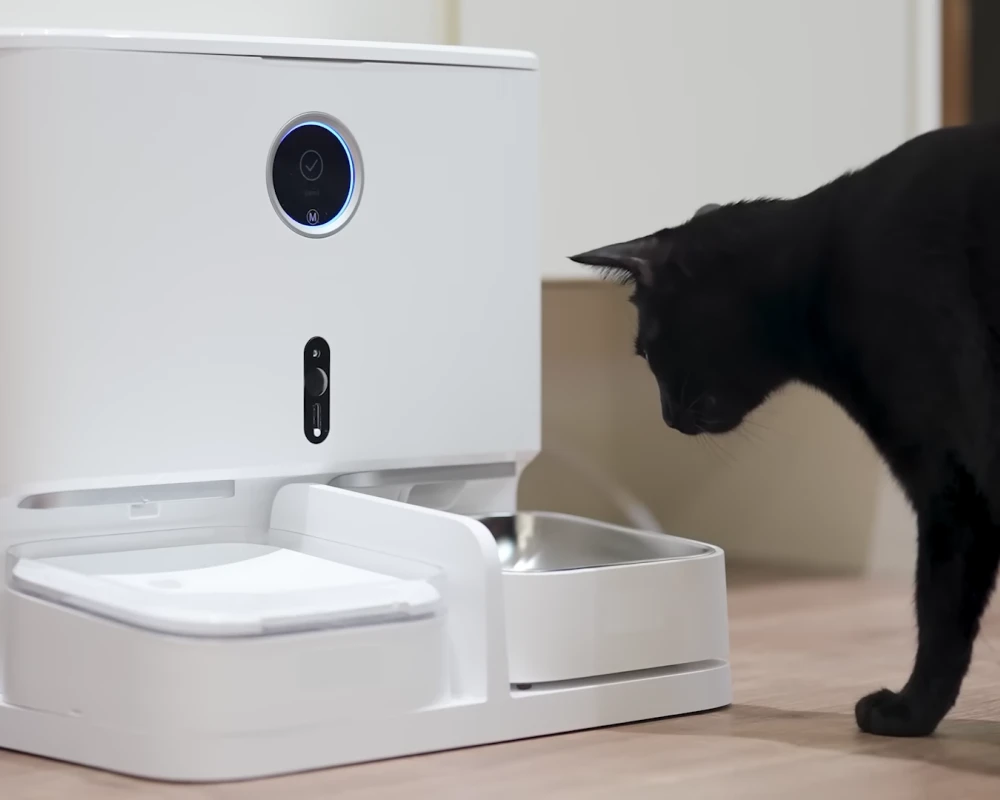 automatic pet feeder for multiple cats