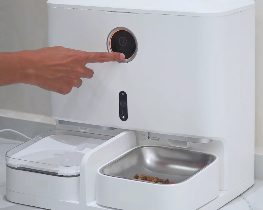 pet automatic food dispenser